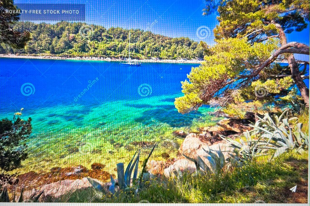 Mazza House Cavtat With Sea View-Center Apartment Exterior photo